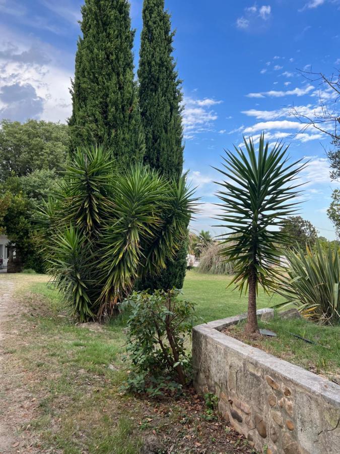 Alpilles Camargue Mas Falabrego Raphèle Dış mekan fotoğraf